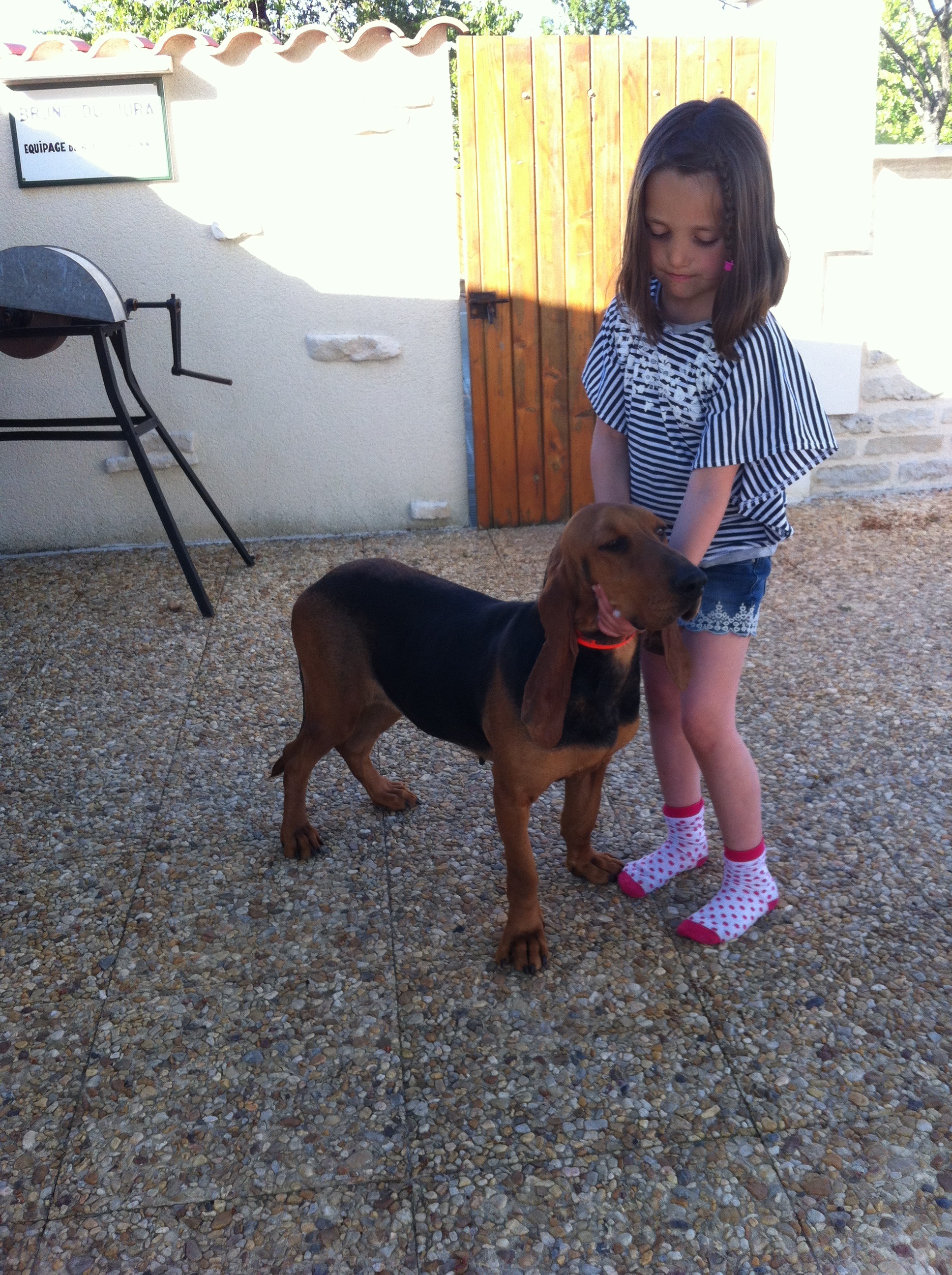 rencontre saillie